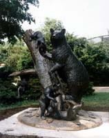"Black Bear Family", Philadelphia Zoo