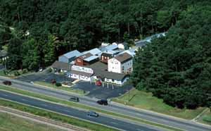 Aerial of Turner Sculpture, Rt. 13 in Onley, VA. 